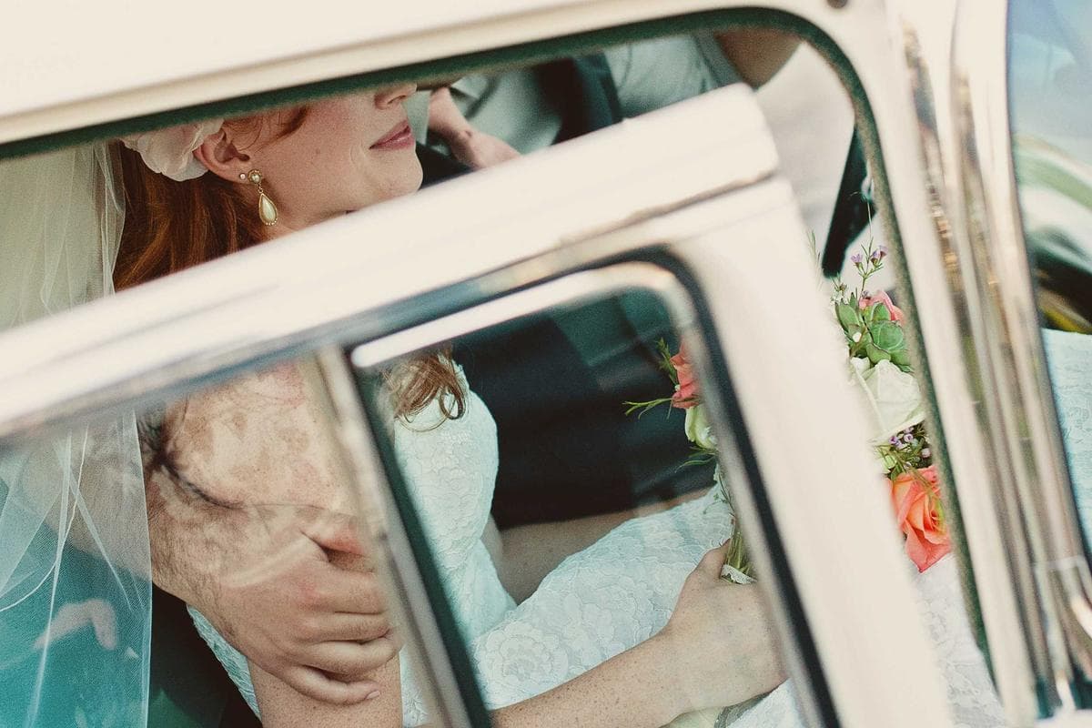 Aiguilles plates d'un sapin